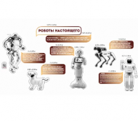 Комплект стендов для кабинета робототехники "Роботы настоящего"